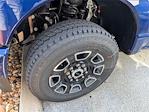 New 2026 Ford F-250 Platinum Crew Cab for sale #TED32571 - photo 5