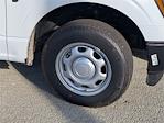 New 2026 Ford F-150 XL Regular Cab for sale #TKD04994 - photo 3