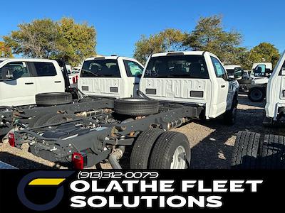 2024 Ford F-350 Regular Cab DRW 4WD Cab Chassis for sale #C42143 - photo 2