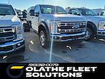 2024 Ford F-550 Regular Cab DRW 4WD Cab Chassis for sale #C43525 - photo 6