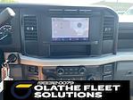 2024 Ford F-250 Regular Cab RWD Pickup for sale #C43803 - photo 10
