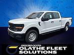 2025 Ford F-150 SuperCrew Cab 4x4 Pickup for sale #C51162 - photo 1