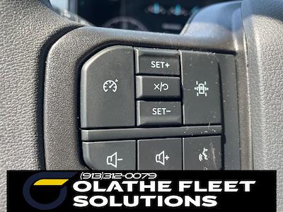 New 2025 Ford F-350 - photo 1