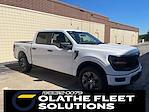2025 Ford F-150 SuperCrew Cab 4x4 Pickup for sale #C51214 - photo 7