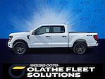 2025 Ford F-150 SuperCrew Cab 4x4 Pickup for sale #C51217 - photo 3