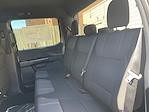 2025 Ford F-150 SuperCrew Cab 4x4 Pickup for sale #C51227 - photo 13
