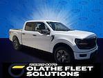 2025 Ford F-150 SuperCrew Cab 4x4 Pickup for sale #C51227 - photo 7
