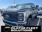 New 2025 Ford F-350 XL Regular Cab 4WD SRW Pickup for sale #C51272 - photo 1
