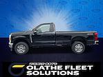 2025 Ford F-350 Regular Cab SRW 4x4 Pickup for sale #C51303 - photo 3