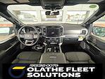 2025 Ford F-150 SuperCrew Cab 4WD Pickup for sale #C51399 - photo 15