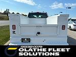 2025 Ford F-250 Crew Cab 4WD Reading for sale #C51411 - photo 3