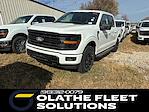 New 2025 Ford F-150 XLT SuperCrew Cab 4WD Pickup for sale #CS51175 - photo 1