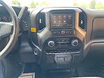 2024 Chevrolet Silverado 1500 Regular Cab 4x2 Pickup for sale #CU2457 - photo 14