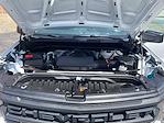 2024 Chevrolet Silverado 1500 Regular Cab 4x2 Pickup for sale #CU2457 - photo 21