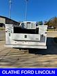 New 2025 Ford F-250 Regular Cab Service Truck for sale #GS50183 - photo 3