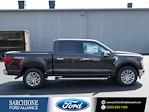New 2024 Ford F-150 XLT SuperCrew Cab 4WD Pickup for sale #6345 - photo 1