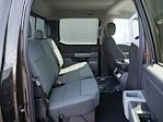 New 2024 Ford F-150 XLT SuperCrew Cab 4WD Pickup for sale #6345 - photo 24