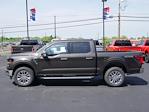 New 2024 Ford F-150 XLT SuperCrew Cab 4WD Pickup for sale #6345 - photo 10