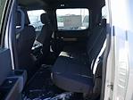 New 2025 Ford F-150 STX SuperCrew Cab 4WD Pickup for sale #7404 - photo 21