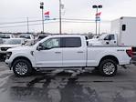 New 2025 Ford F-150 XLT SuperCrew Cab 4WD Pickup for sale #7478 - photo 11