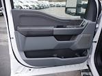 New 2025 Ford F-150 XLT SuperCrew Cab 4WD Pickup for sale #7478 - photo 15