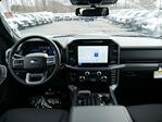 New 2025 Ford F-150 XLT SuperCrew Cab 4WD Pickup for sale #7481 - photo 8