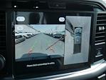 New 2025 Ford F-150 XLT SuperCrew Cab 4WD Pickup for sale #7797 - photo 6