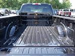 2025 Ford F-350 Regular Cab SRW 4WD Pickup for sale #7909 - photo 9