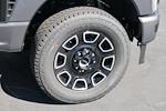 New 2026 Ford F-250 Platinum Crew Cab 4WD Pickup for sale #8015 - photo 14