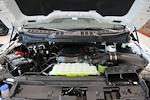 New 2025 Ford F-150 XLT SuperCrew Cab for sale #8132 - photo 4