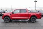 2025 Ford F-150 SuperCrew Cab 4WD Pickup for sale #8339 - photo 10