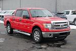 Used 2013 Ford F-150 XLT SuperCrew Cab for sale #8374A - photo 5