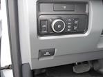 2024 Ford F-550 Regular Cab DRW 4WD Cab Chassis for sale #1798629 - photo 14