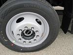 2024 Ford F-550 Regular Cab DRW 4WD Cab Chassis for sale #1798629 - photo 6