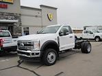 2024 Ford F-550 Regular Cab DRW 4WD Cab Chassis for sale #1798629 - photo 1