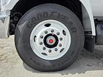 New 2026 Ford F-650 Standard Regular Cab Cab Chassis for sale #1868891 - photo 12