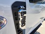 2025 Ford F-350 Regular Cab DRW 4WD Cab Chassis for sale #1869789 - photo 10