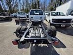 2025 Ford F-450 Regular Cab DRW 4WD Cab Chassis for sale #1869798 - photo 6