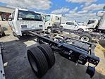 New 2025 Ford F-350 XL Regular Cab 4WD Cab Chassis for sale #1885315 - photo 6