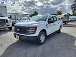 2025 Ford F-150 SuperCrew Cab RWD Pickup for sale #1889293 - photo 1