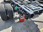 New 2025 Ford F-600 XL Regular Cab 4WD Cab Chassis for sale #1893519 - photo 12