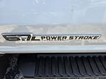 2025 Ford F-600 Regular Cab DRW 4WD Cab Chassis for sale #1893861 - photo 12