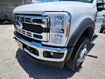 2025 Ford F-550 Regular Cab DRW RWD Cab Chassis for sale #1896815 - photo 10