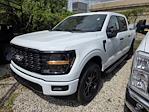 2025 Ford F-150 SuperCrew Cab 4WD Pickup for sale #1903705 - photo 21