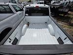 2025 Ford F-150 SuperCrew Cab 4WD Pickup for sale #1903705 - photo 3