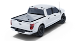 2025 Ford F-150 SuperCrew Cab 4WD Pickup for sale #1903705 - photo 20