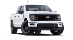 2025 Ford F-150 SuperCrew Cab 4WD Pickup for sale #1903705 - photo 22