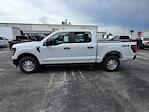 New 2025 Ford F-150 XL SuperCrew Cab 4WD Pickup for sale #1911900 - photo 8