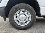 New 2026 Ford F-150 XL Regular Cab for sale #1978054 - photo 10