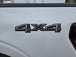 2026 Ford F-150 Regular Cab 4WD Pickup for sale #1983202 - photo 12